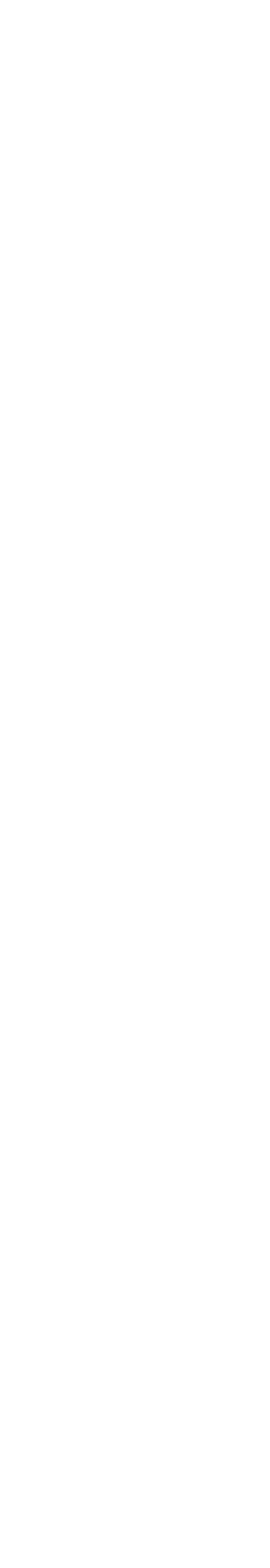 divider_b_wit@2x